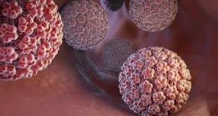 HPV: What is it, Prevention Methods, and Treatment Options?